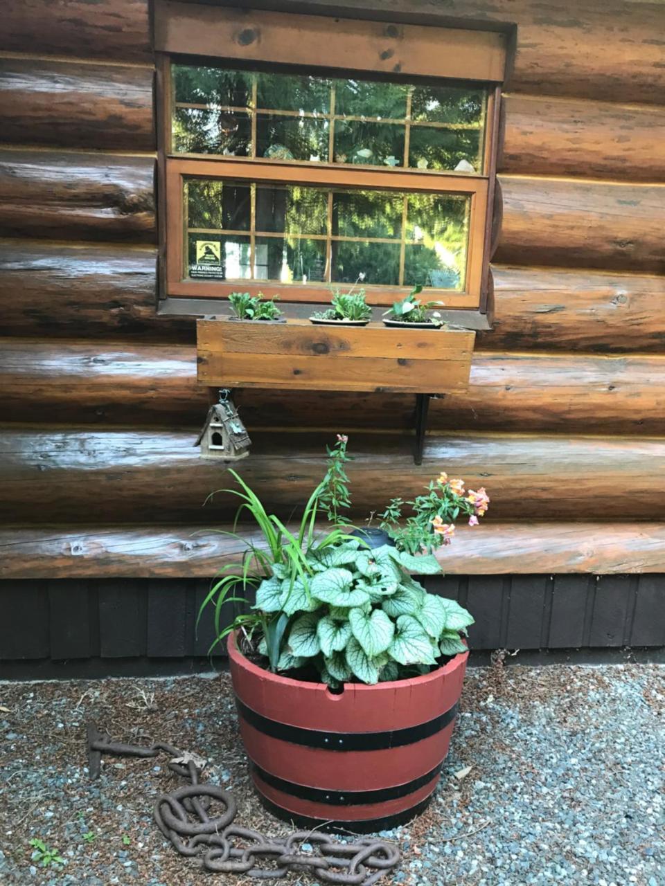 Union Bay Log Home エクステリア 写真