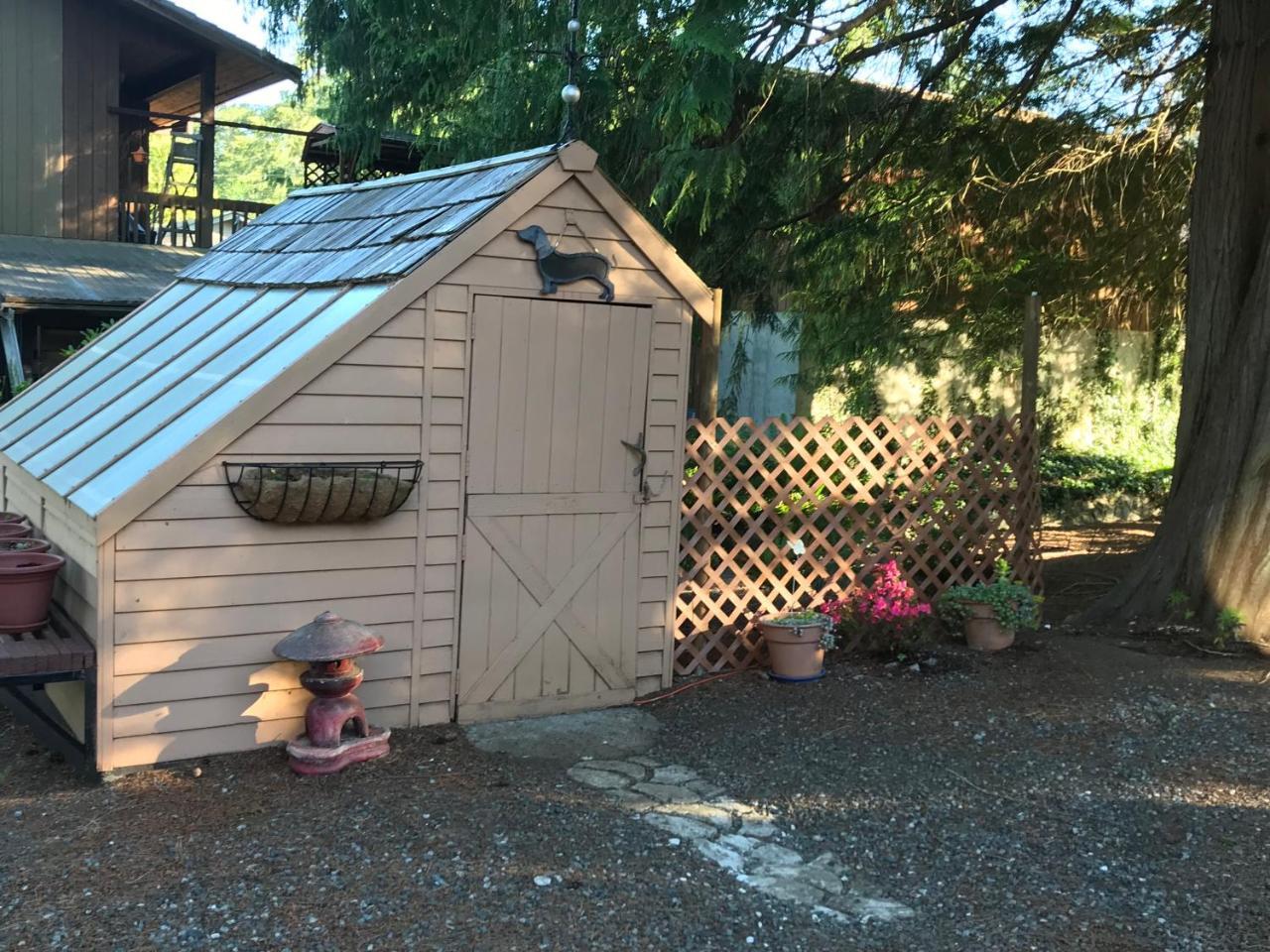 Union Bay Log Home エクステリア 写真